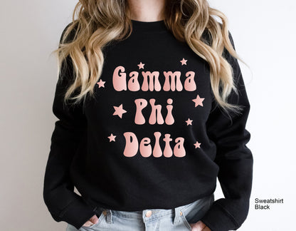 Custom Sorority Chapter Sweatshirt, Custom Hoodie, Custom Greek Apparel, Sorority Reveal Shirt, Custom Sorority Shirt, C6187