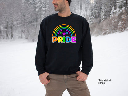 LGBT Swetshirt, Pride Hoodie, Rainbow Pride Sweatshirt, LGBT Hoodie, Pride T-shirt, Lesbian Sweatshirt, Gay Pride LGBTQ Shirt, C6993