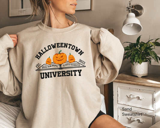 Halloweentown School Sweatshirts,Halloween Sweatshirts, Halloweentown University Hoodie, Funny Fall Sweatshirts, Fall Sweatshirts,C7051
